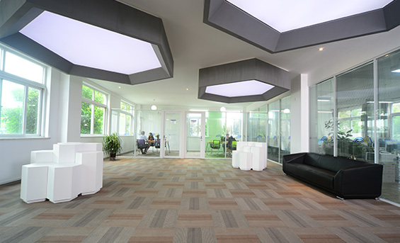 哲華化工公司內部